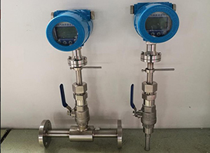 DN300熱式氣體質(zhì)量流量計